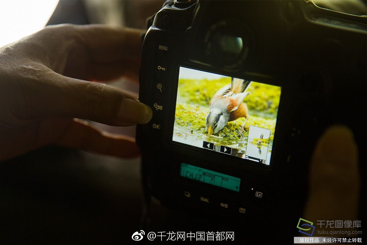 立夏后这些生肖财运来临！横财挡不住！_CN2服务器测试