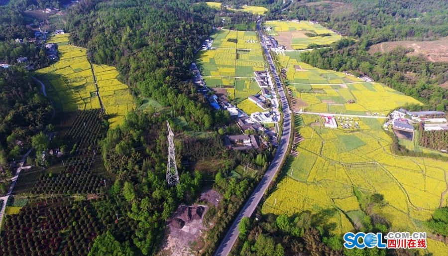 百亿考研市场,和那些被收割的考研人_CN2服务器SSD硬盘