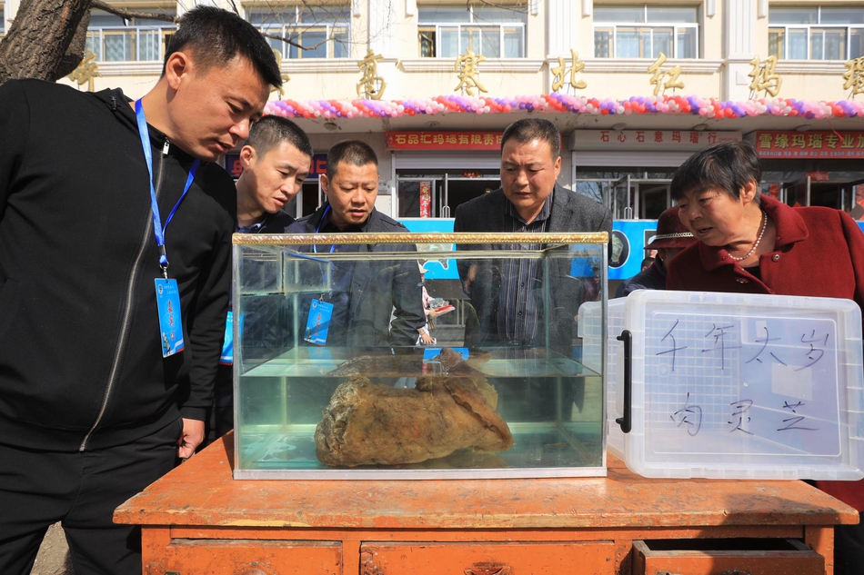 一个招式带你改变单一收入结构