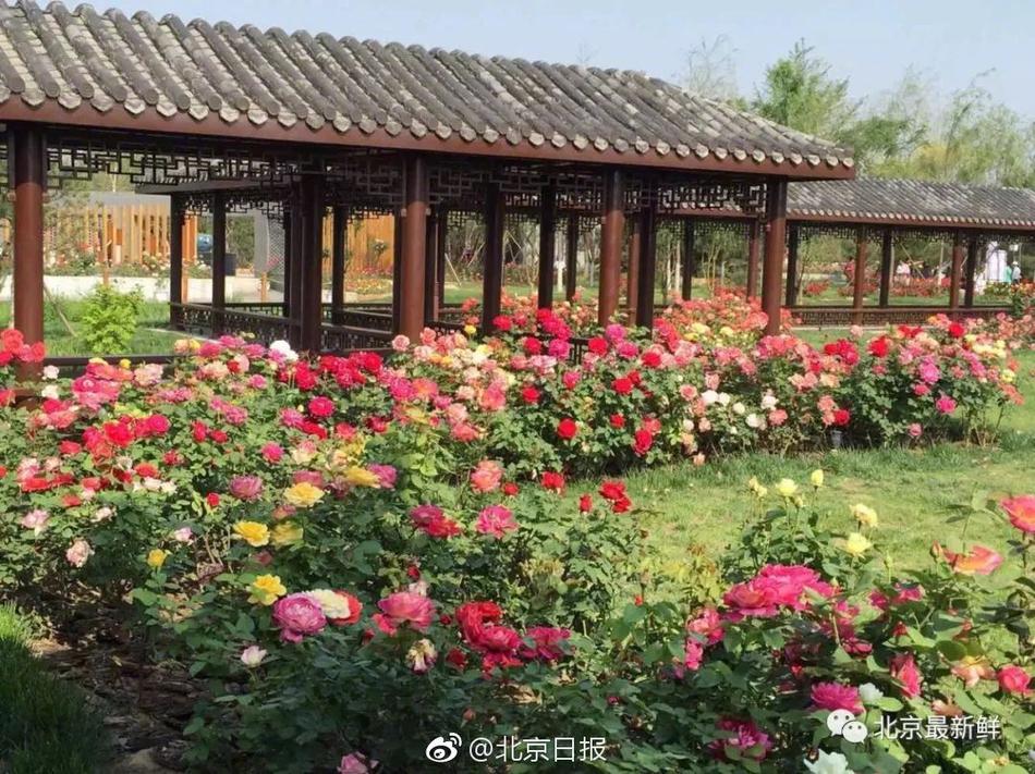 周一在岸人民币对美元收报6.7350 涨31个基点_CN2多可用区部署