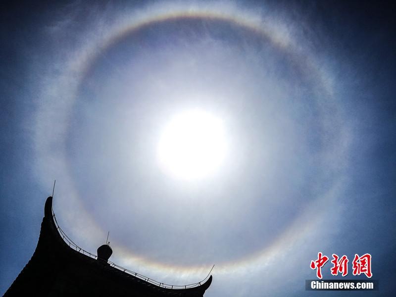 驻爱尔兰使馆：防电信诈骗_9929优惠码