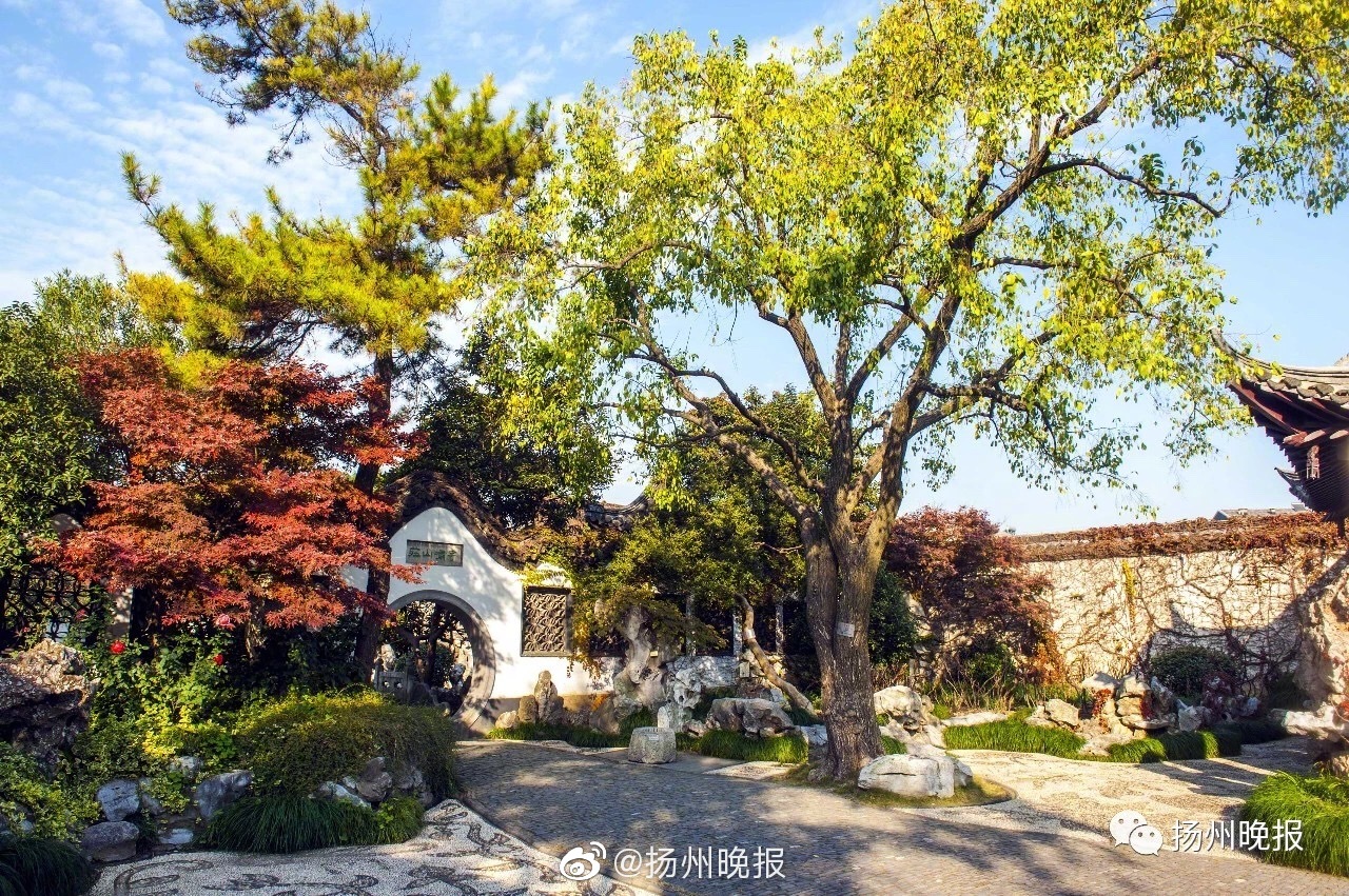 域名过期后，若被他人利用传播违法内容，应该如何处理？_云电脑低延迟