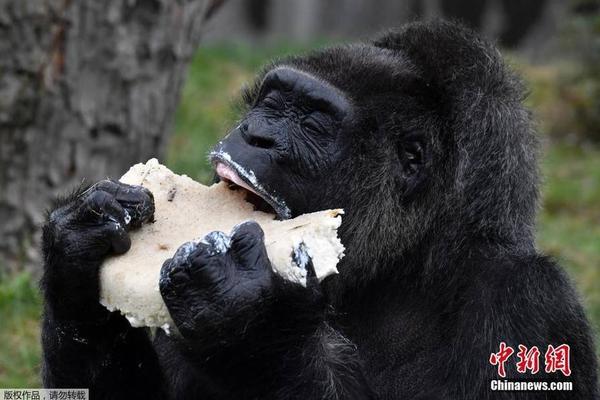 凤姐怼周立波一文不值、没文化!_9929独立IP