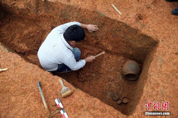 她凭啥成了“豪门收割机”_挂机宝工作室