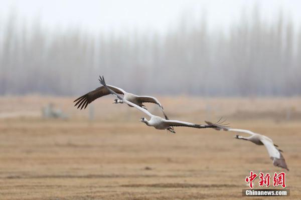 组图：杨幂巅峰之夜上班照曝光 长发飘飘女神范儿十足_云电脑镜像