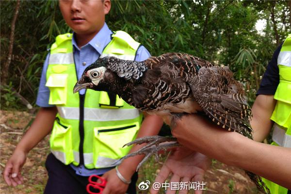 4车型供选 曝广汽丰田全新雷凌部分配置_至顶云