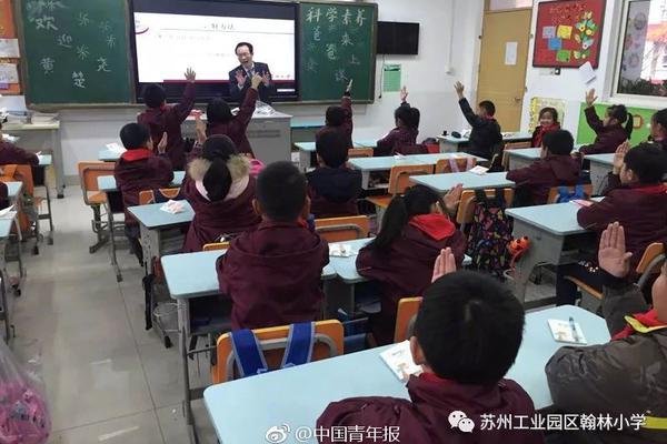 来欢乐谷 看《第五人格》