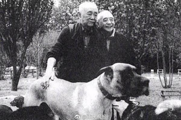 金蝶架设云服务器吗_P4挂机宝