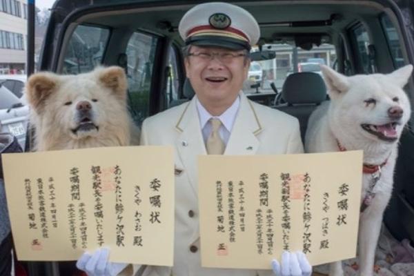 董藩：我不主张在收缩型城市搞振兴 是浪费资源_云电脑多开