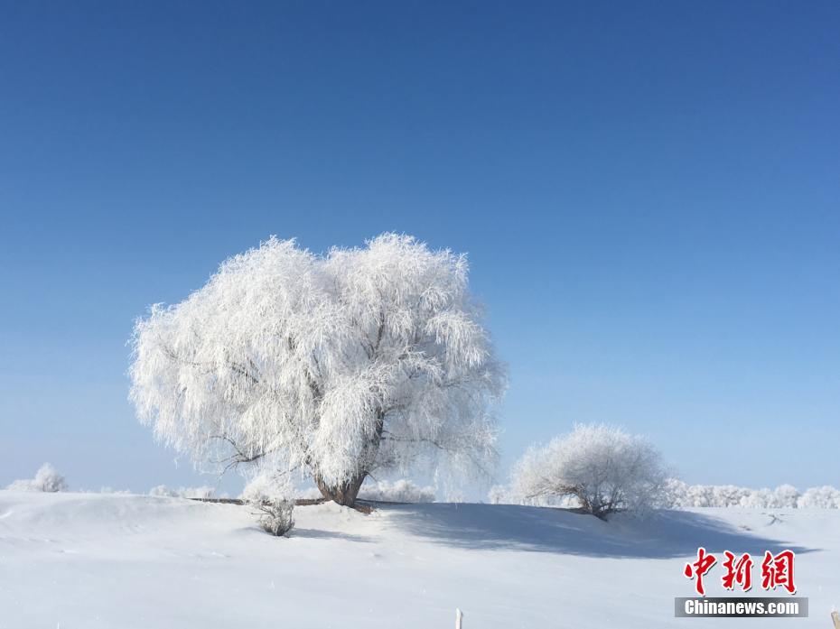 习近平三次来到宁夏 对这件“小事”很挂心_云电脑多会话
