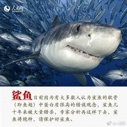 《全境封锁2》测试服更新_移动CN2服务器