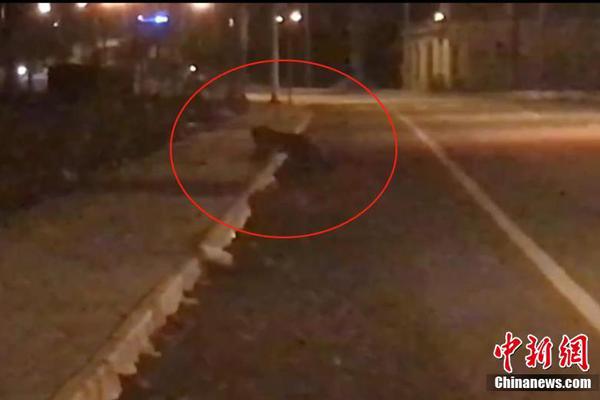 VIP6.9镰仓物语推理作家上演寻妻捉妖记嘉宾：堺雅人 高畑充希 堤真一_CN2服务器解锁Disney+