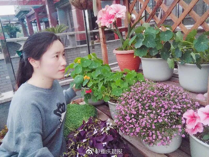 清军与海盗交战的场景(图)_CN2服务器跨境电商