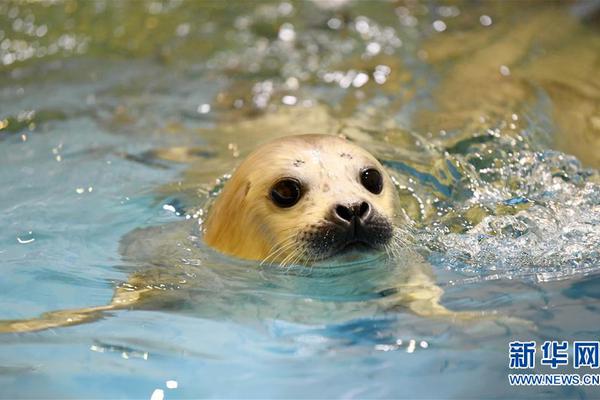 一口价域名店铺是什么_正规的虚拟主机和云服务器提供商