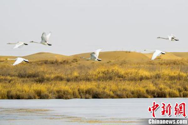 5成女性认为婚姻非必有_联通9929线路
