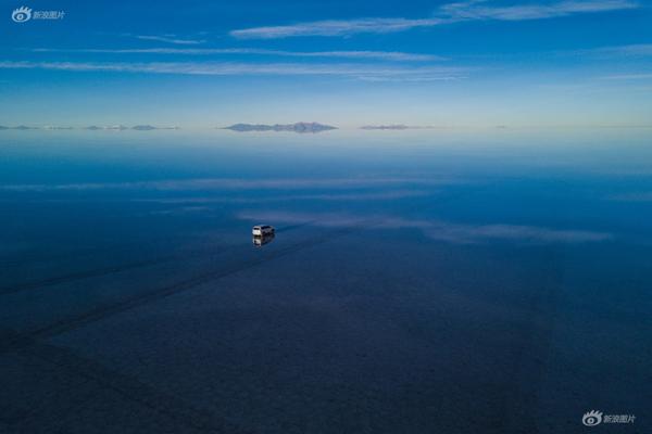 中国西北祁连山区发现一批动物图案岩画_挂机宝代理分销