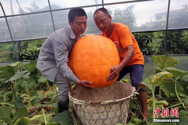 年赚8000万的网红课程背后：他一遍遍录音_云服务器竞价实例