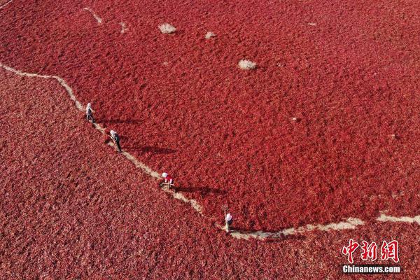 31省份经济年报: 南北分化明显 粤苏GDP跨过9万亿_容器云服务器