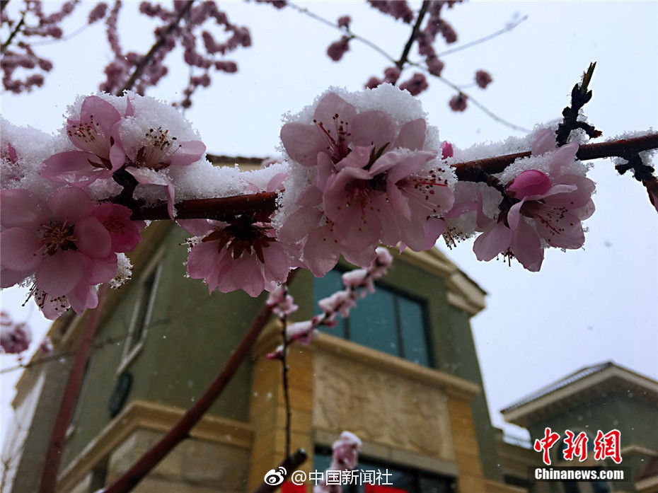孩子从2岁开始在意别人的评价_挂机宝批发
