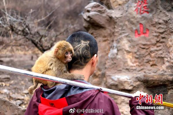 部分上市公司一季度业绩大增 主业奇差全靠“炒股”_云服务器Windows