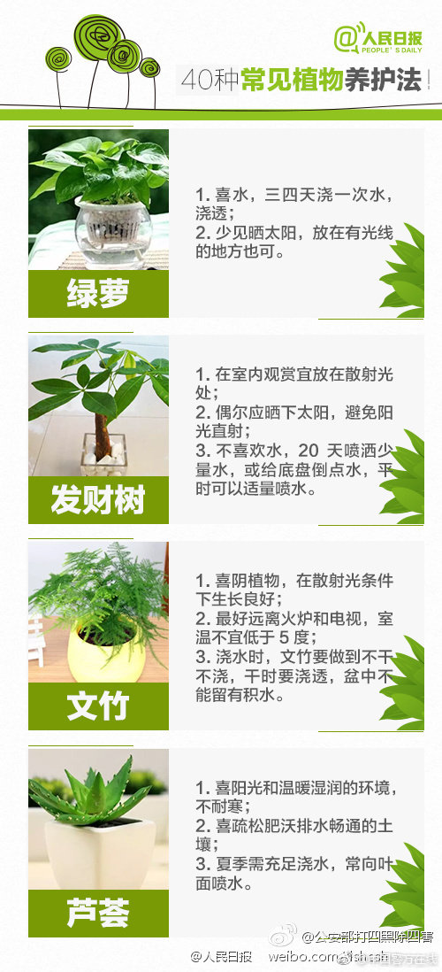 《怪物猎人:世界》恐暴龙MOD_9929精品网