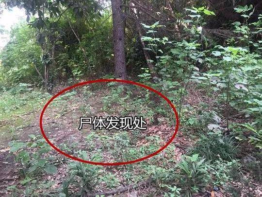 一季度亏损近21亿元 长安汽车遭遇凛冬_云服务器8G内存