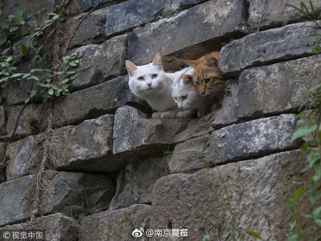 四十岁的女人如果想要一个婚姻，需要在哪些方面调整或妥协？_{$word}