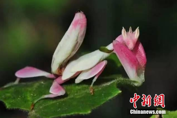 别让低效学习毁掉你人生_CN2服务器优惠