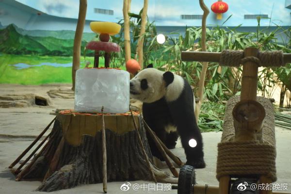 绚丽的丛林小精灵 高速抓拍飞翔中的蜂鸟