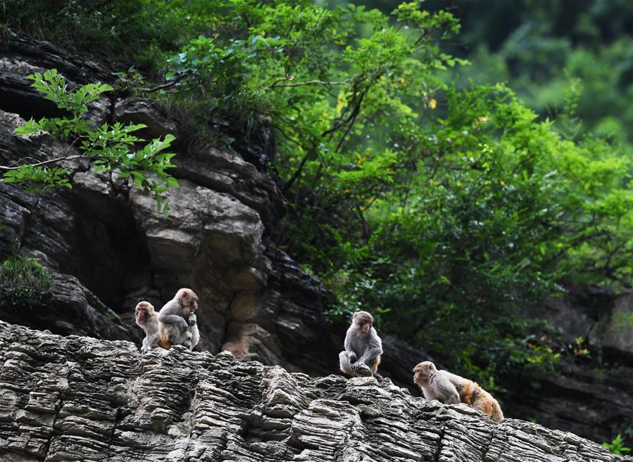 华世奎、谭延闿：南北两位颜楷大家，你更喜欢谁_CN2视频服务器