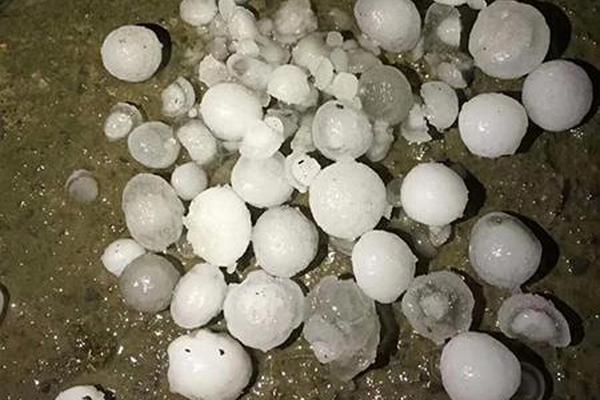 还记得我们的表情包咕咕宋民国吗?他和他的兄弟们都长大啦_挂机宝指纹浏览器