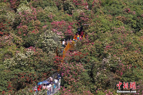 二战德国巨炮重1350吨炮弹重7吨_云电竞