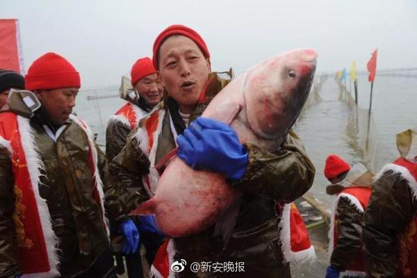 IG宁王泄漏训练赛,GRF队员很不满:他不该讨论韩国队!_云电脑多店铺管理