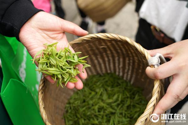孙楠夫妇为孩子搬到三线小城 住100㎡房用旧家具_云电脑是什么