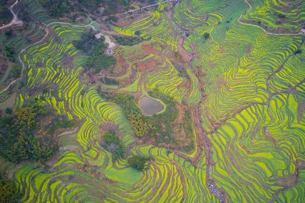 巴萨国王杯国家德比名单：梅西入选_CN2服务器丢包率