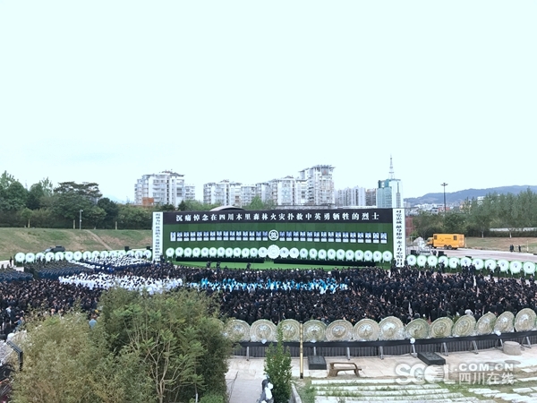 六年青春喂了狗,奈何boss要娶我_CN2服务器特价