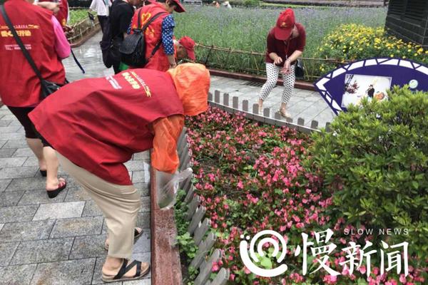 6招轻松实践2019最佳饮食模式_云服务器免备案