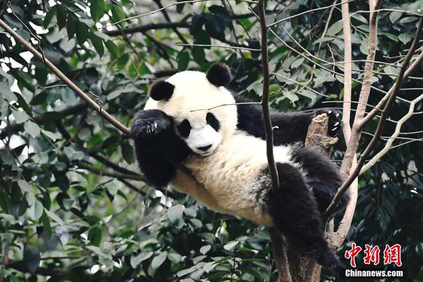 吐槽的不少!新一期沃德十佳内饰_云电脑还原点