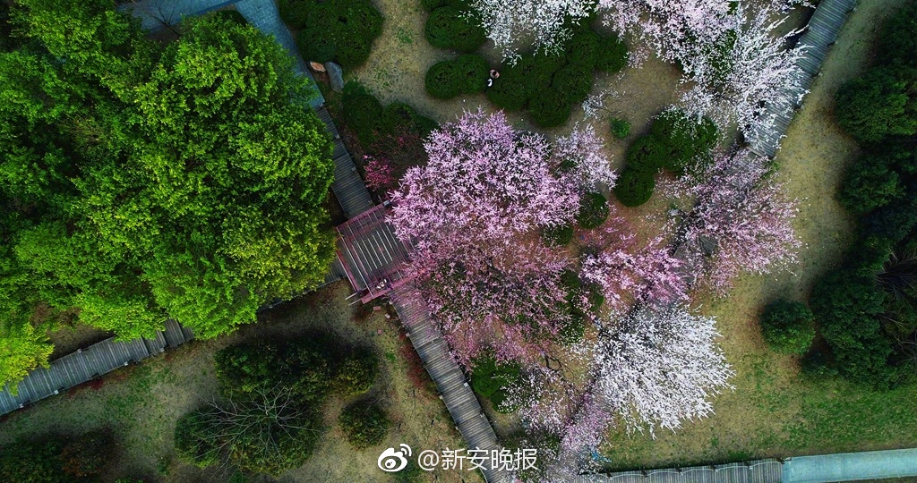 拍下票根参与抽奖,在LOFTER记录电影时光_9929BGP