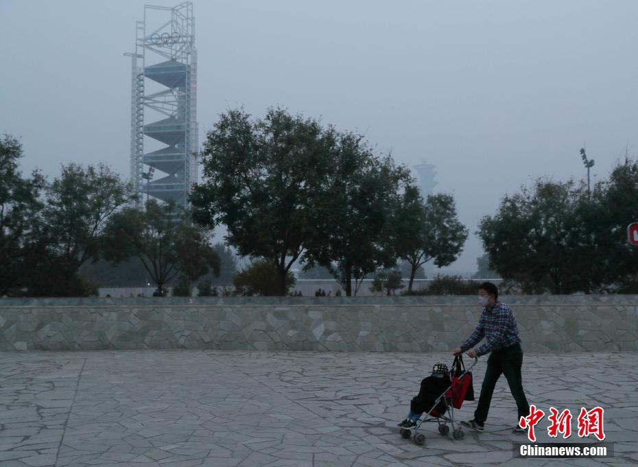 2019中国青年置业大调查_9929联通用户