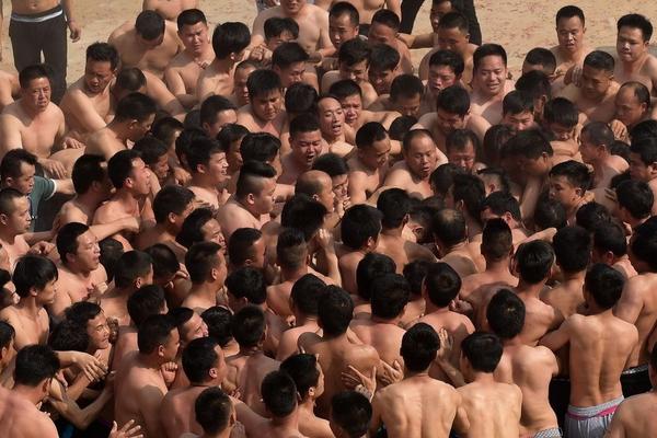 怎么免费绑定域名_其他问题
