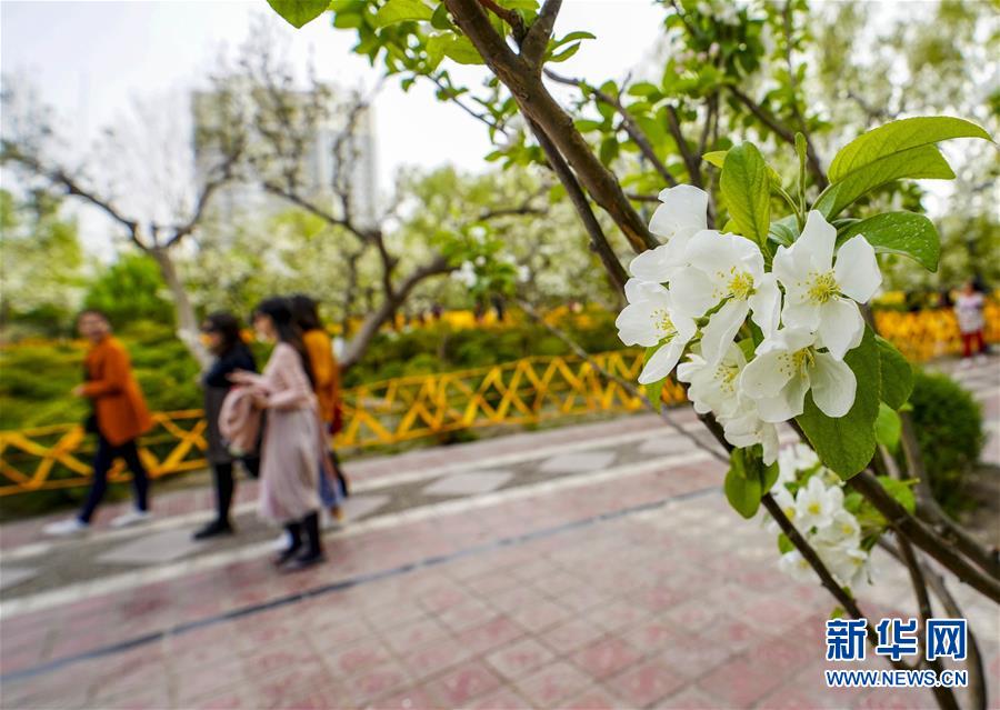 国税总局:拓宽办税渠道 推行房地产交易税收网上预核_多云管理