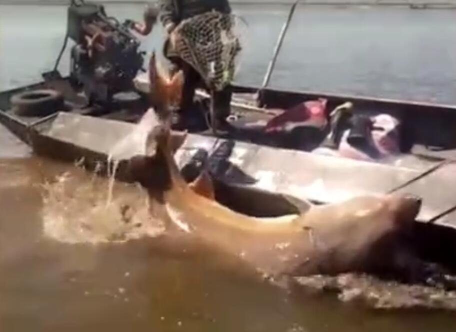 报告:中国境外房产投资创4年新低 美国市场现净流出_挂机宝电信
