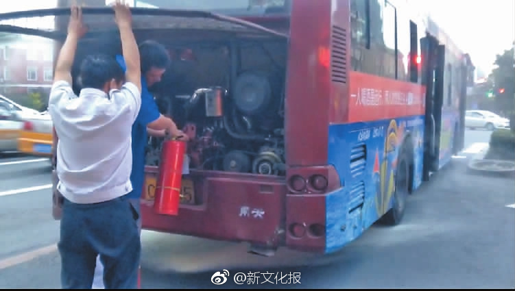 VIP8.0图雅的婚事余男带着残障老公改嫁嘉宾：余男 巴特尔 森格_云服务器8G内存