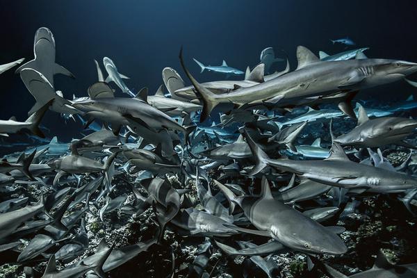 60家基金公司去年赚了211亿元_云服务器月付