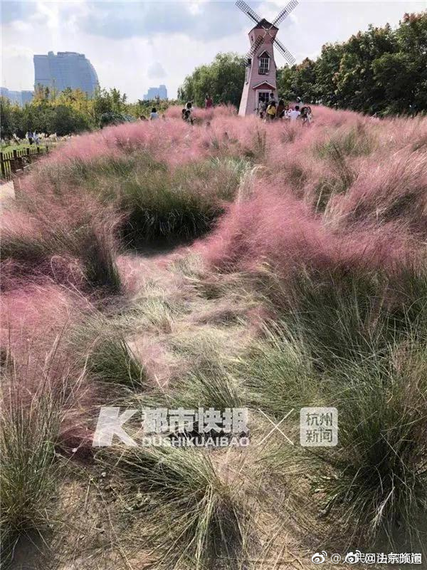 印巴双方不仅海空对峙 还掀起军备竞赛“互亮肌肉”_云电脑按时计费