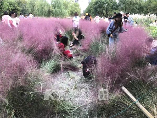 这可能是人类史上最大银行抢劫案 就这样泡汤了_1元挂机宝
