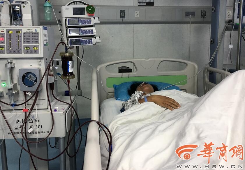 VIP8.0图雅的婚事余男带着残障老公改嫁嘉宾:余男 巴特尔 森格_云桌面