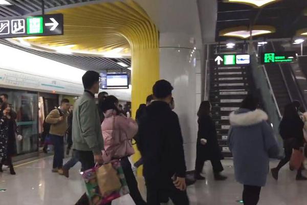企鹅蛋为何不结冰？帝企鹅爸爸已经进化成
