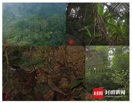 全球“压力排行榜”出炉_CN2服务器月付